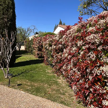200 M², Piscine Privee, 4 10 Min Montpellier Villa